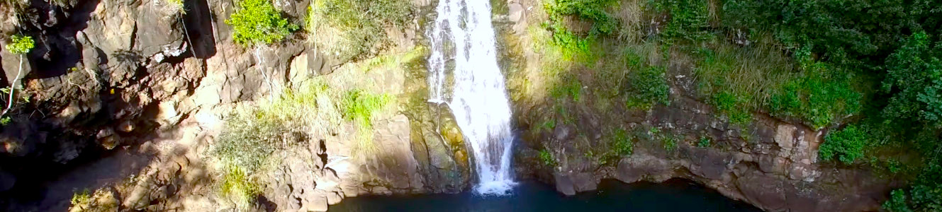 Oahu Nature Tours Ultimate Circle Island Adventure