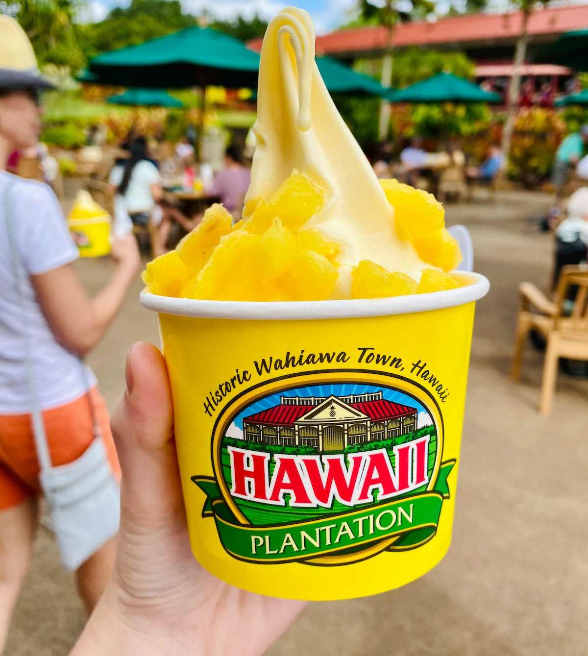  Beauty and the Feast - Oahu Circle Island Experience