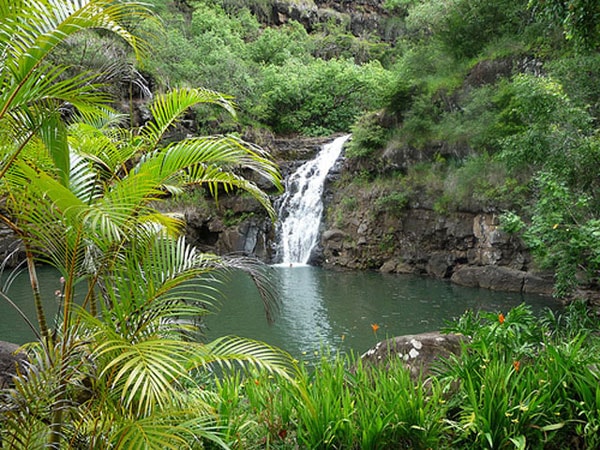 waimea waterfall